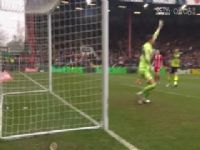 ���ܱ������ֱ��� ������VSŦ��˹���� 20250209