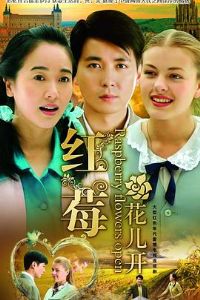 ��ݮ������