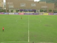 ��Э���ڶ��ֱ��� �������VS�Ϻ��ζ����� 20250419