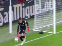 �������� �϶��Ͷ�����VS�ʼ���� 20241125