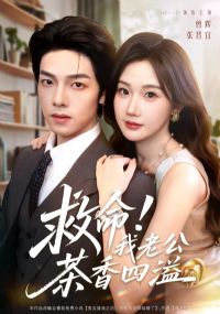 �������Ϲ���������