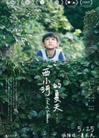 ��С�ӵ�����