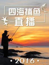 �ĺ�����ֱ��2016