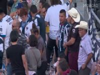 ���㱭С���� �ֺͺ���VS������ 20250626