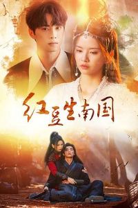 �춹���Ϲ�2024