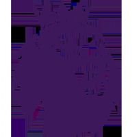 Ӣ������ �����ظ���VSɣ����20260108