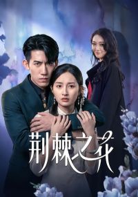 ����֮��