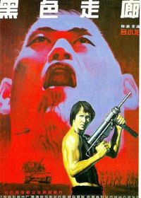 ��ɫ����