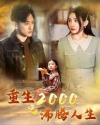 ����2000֮��������