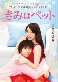 ��������2017