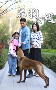 ����Ӧ�е�