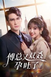 ������˫��������